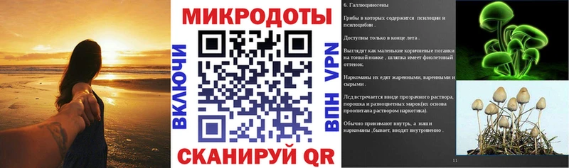 Галлюциногенные грибы Magic Shrooms  купить   Северск 